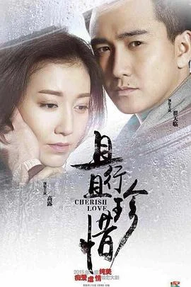 且行且珍惜 海报