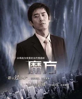 魔方2008 海报