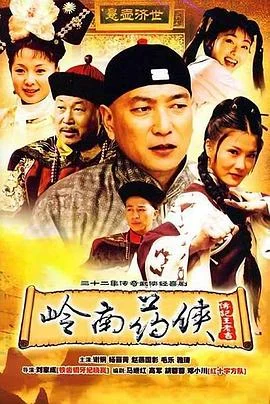 岭南药侠 海报