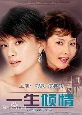 一生倾情 海报