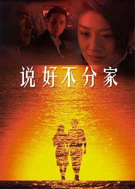 说好不分家 海报