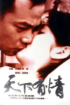 天下有情之天涯路国语 海报