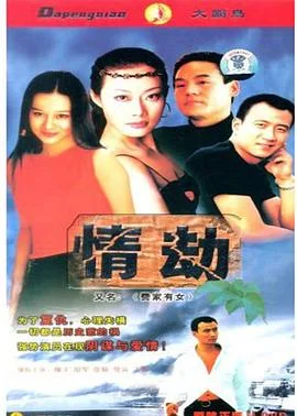 费家有女 海报