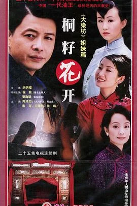 桐籽花开 海报