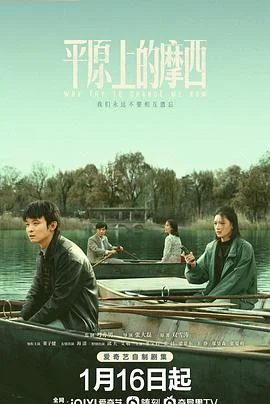 平原上的摩西 海报