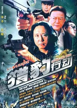 金海岸 海报