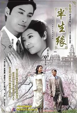 半生缘2002 海报