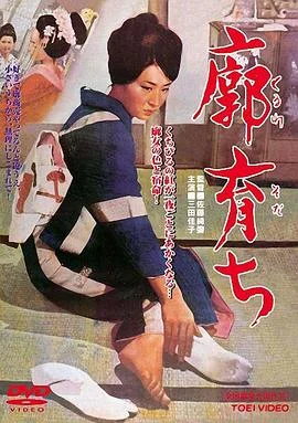 长在青楼 海报