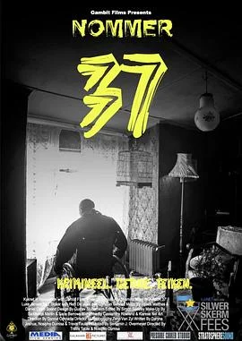 37号 海报