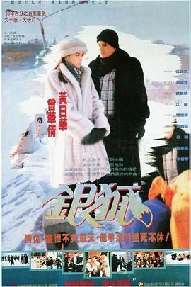 银狐国语 海报