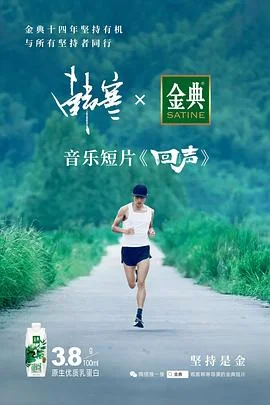 回声 海报