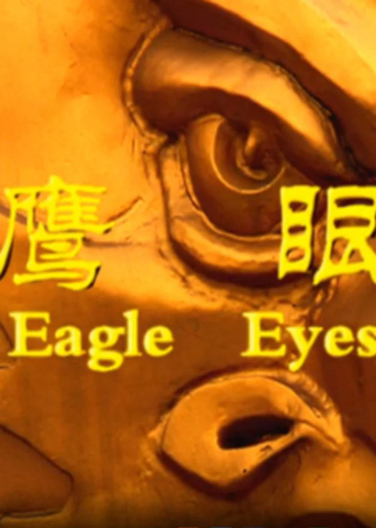 鹰眼2009 海报