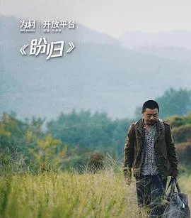 盼归 海报