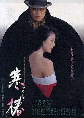 寒椿 海报