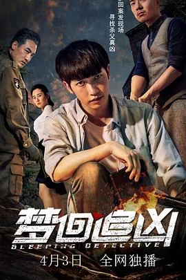梦回追凶 海报