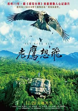 老鹰想飞 海报
