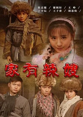 家有辣嫂 海报
