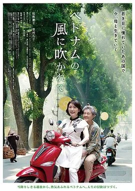 吹向越南的风 海报