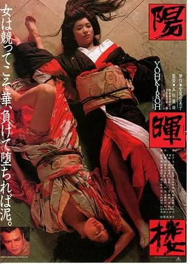 阳晖楼 海报