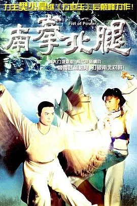 南拳北腿国语 海报