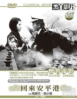 回来安平港 海报