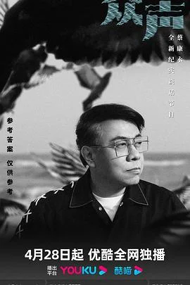 众声 海报