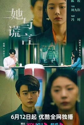 她与谎言 海报