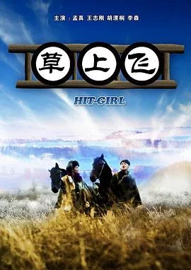 草上飞 海报