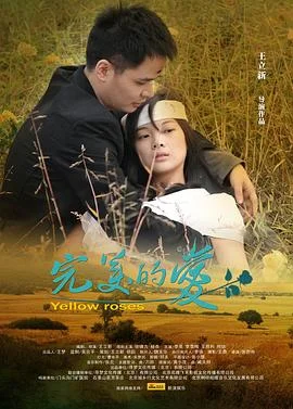 完美的爱 海报