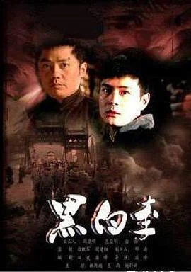 黑白李 海报