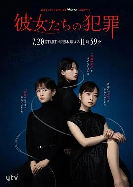 她们的犯罪 海报