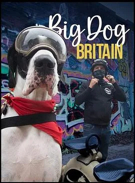 英伦巨犬粤语 海报