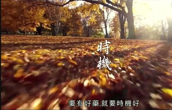神奇百草游粤语 海报