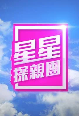 星星探亲团粤语 海报