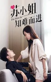 苏小姐知难而进 海报