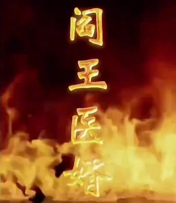 阎王医婿 海报