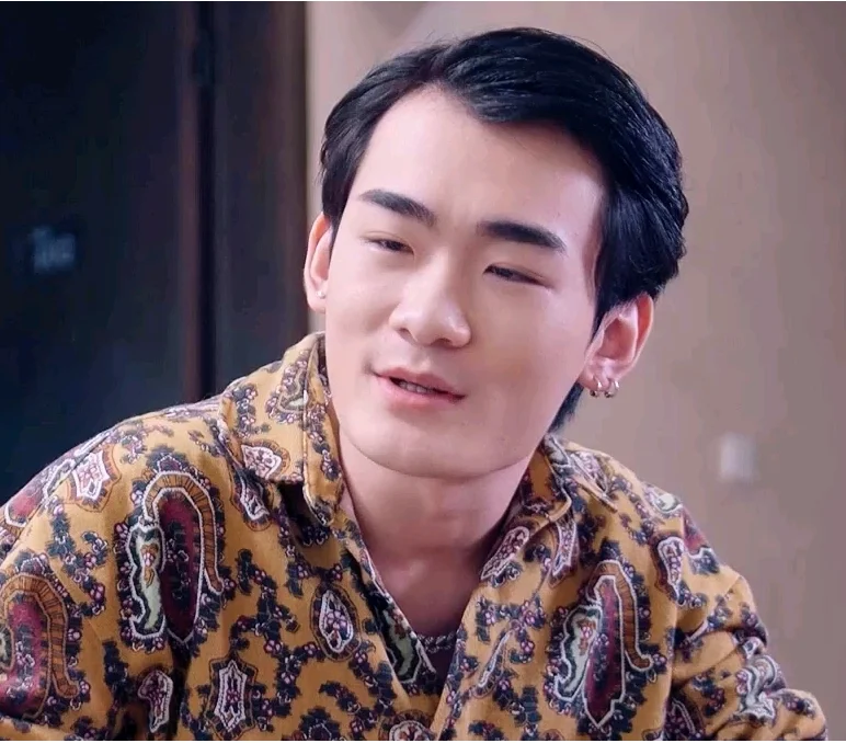 上门傻婿 海报