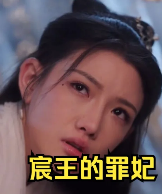 宸王的罪妃 海报