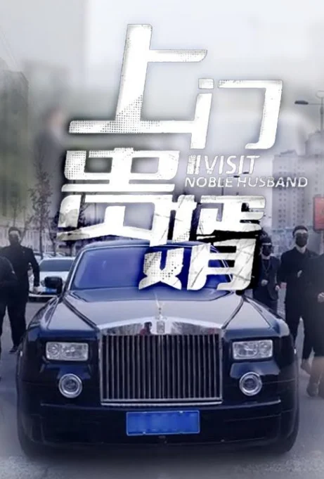 上门贵婿 海报