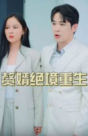 赘婿绝境重生 海报
