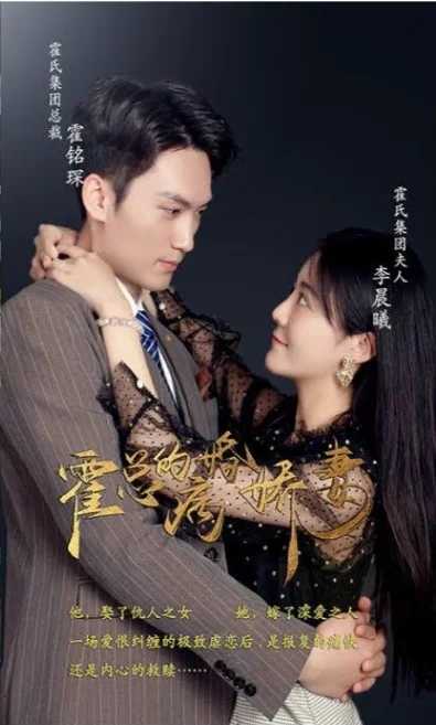 霍总的病婚娇妻 海报