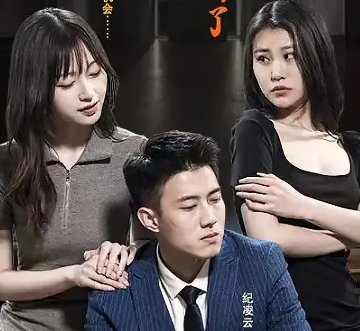 纪先生又不肯离婚了 海报