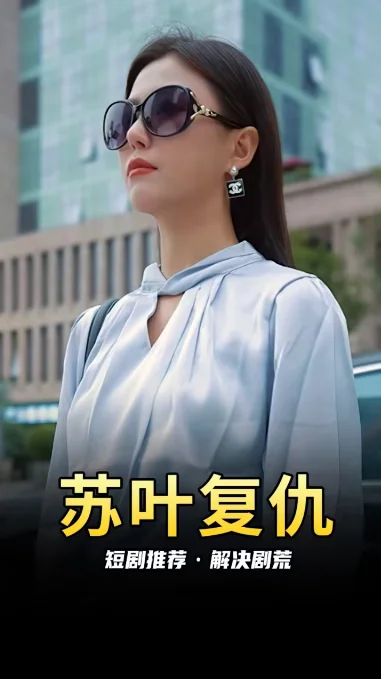 苏叶的复仇 海报