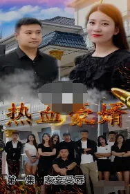 热血豪婿 海报