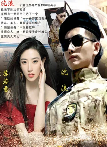 神级龙卫短剧 海报