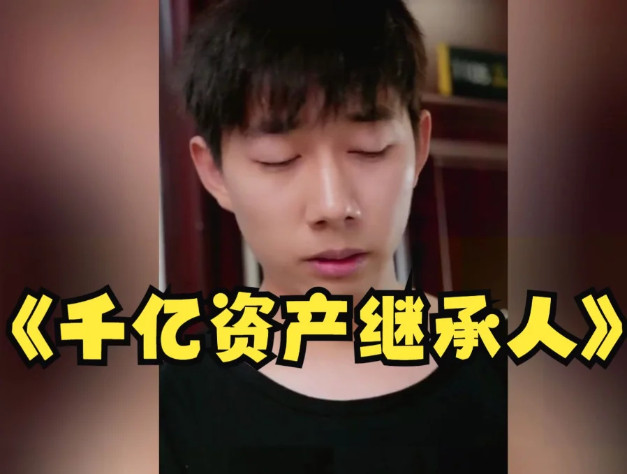 千亿资产继承人 海报