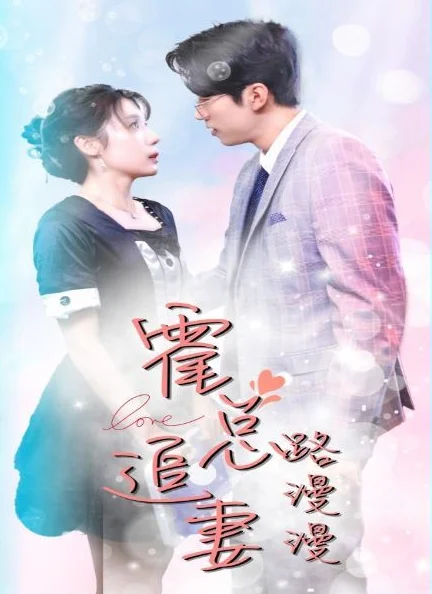 霍总追妻路漫漫 海报