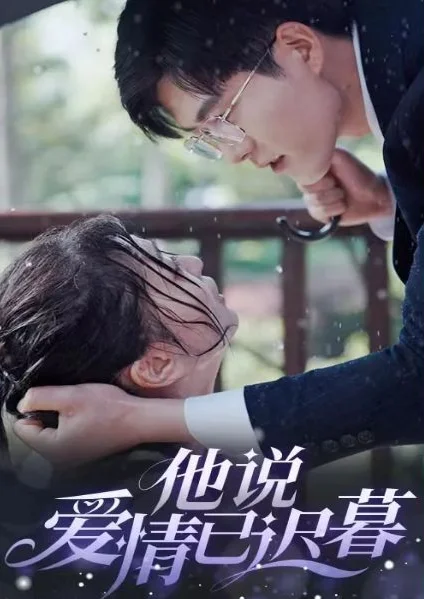 他说爱情已迟暮 海报