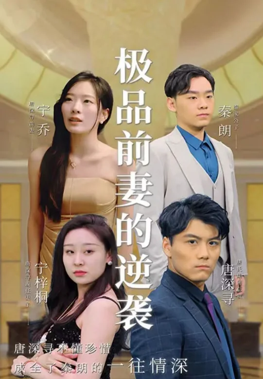 极品前妻的翻身逆袭 海报