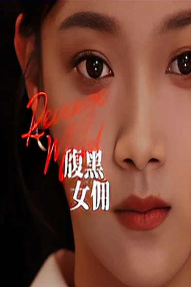 腹黑女佣 海报